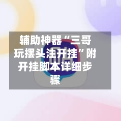 辅助神器“三哥玩摆头注开挂”附开挂脚本详细步骤-第2张图片