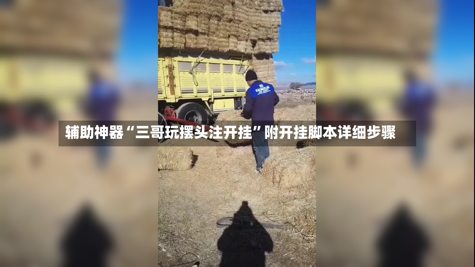 辅助神器“三哥玩摆头注开挂	”附开挂脚本详细步骤-第3张图片