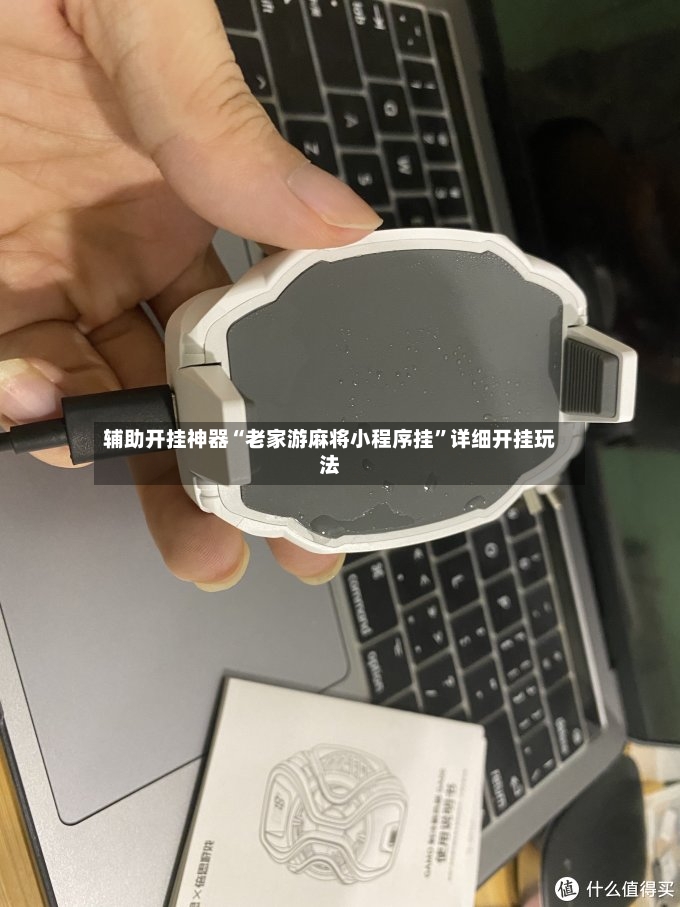 辅助开挂神器“老家游麻将小程序挂	”详细开挂玩法-第2张图片