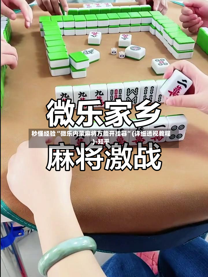 秒懂经验“微乐内蒙麻将万能开挂器”(详细透视教程)-知乎-第2张图片