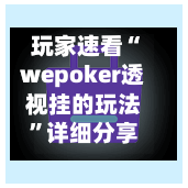 玩家速看“wepoker透视挂的玩法”详细分享装挂步骤-第2张图片