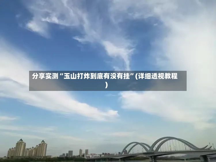 分享实测“玉山打炸到底有没有挂	”(详细透视教程)-第2张图片