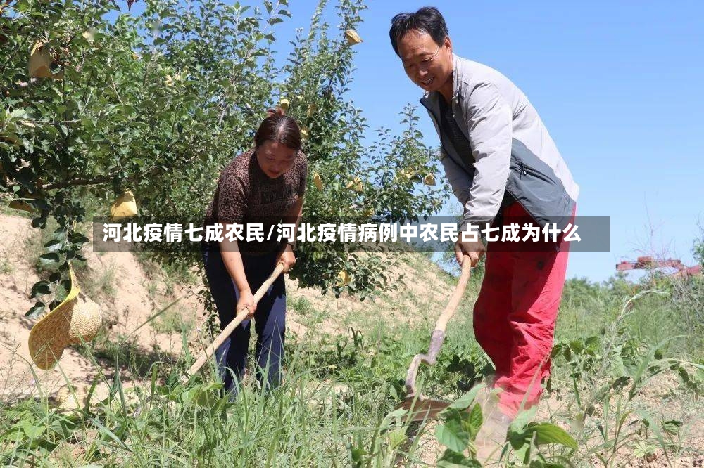 河北疫情七成农民/河北疫情病例中农民占七成为什么-第3张图片