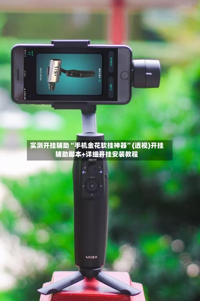 实测开挂辅助“手机金花软挂神器”(透视)开挂辅助脚本+详细开挂安装教程-第2张图片