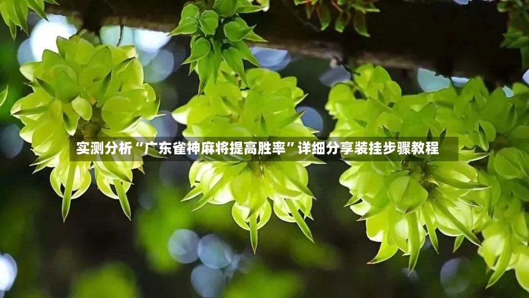 实测分析“广东雀神麻将提高胜率”详细分享装挂步骤教程-第2张图片