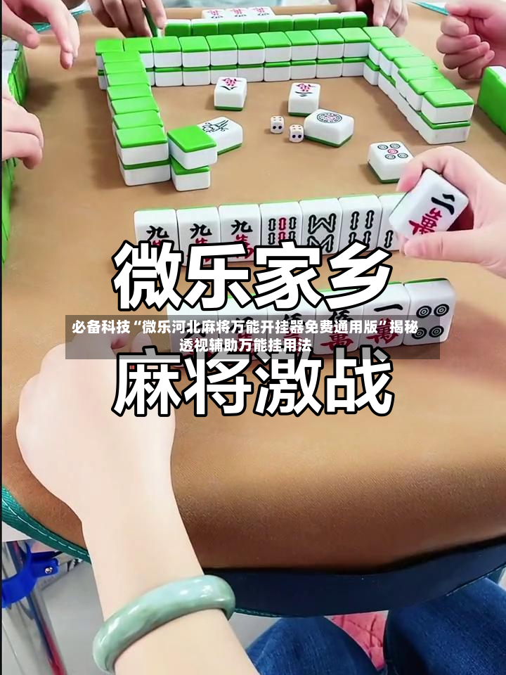 必备科技“微乐河北麻将万能开挂器免费通用版”揭秘透视辅助万能挂用法-第2张图片