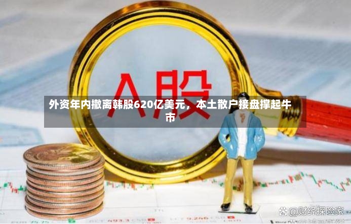 外资年内撤离韩股620亿美元	，本土散户接盘撑起牛市-第2张图片