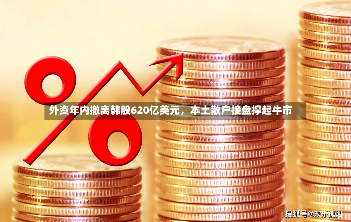 外资年内撤离韩股620亿美元	，本土散户接盘撑起牛市-第3张图片