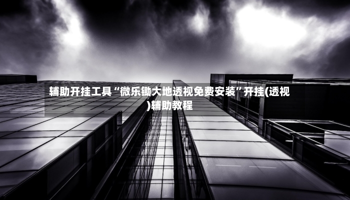 辅助开挂工具“微乐锄大地透视免费安装”开挂(透视)辅助教程