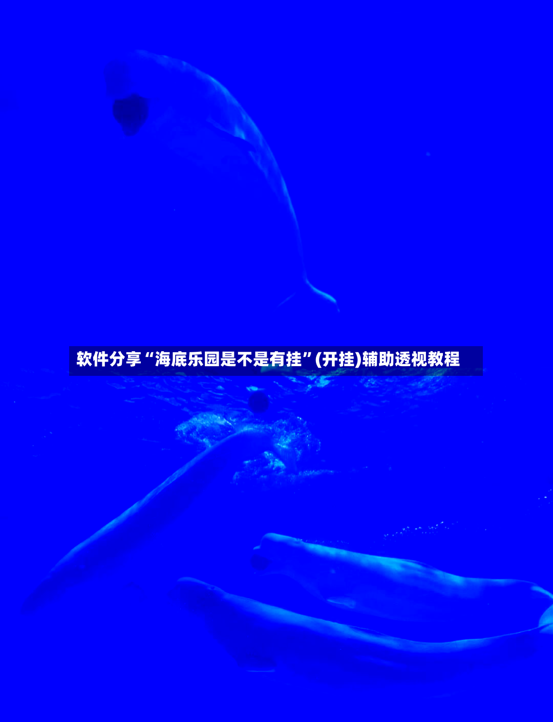 软件分享“海底乐园是不是有挂”(开挂)辅助透视教程