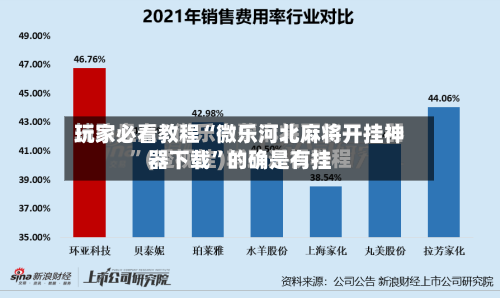 玩家必看教程“微乐河北麻将开挂神器下载”的确是有挂-第2张图片