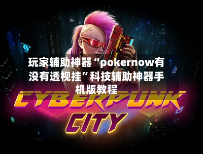 玩家辅助神器“pokernow有没有透视挂”科技辅助神器手机版教程-第3张图片