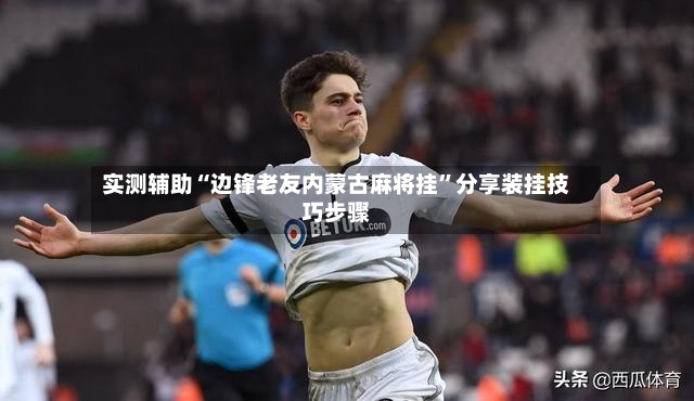 实测辅助“边锋老友内蒙古麻将挂	”分享装挂技巧步骤-第2张图片