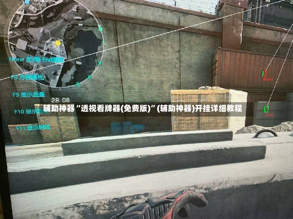 辅助神器“透视看牌器(免费版)”(辅助神器)开挂详细教程-第3张图片