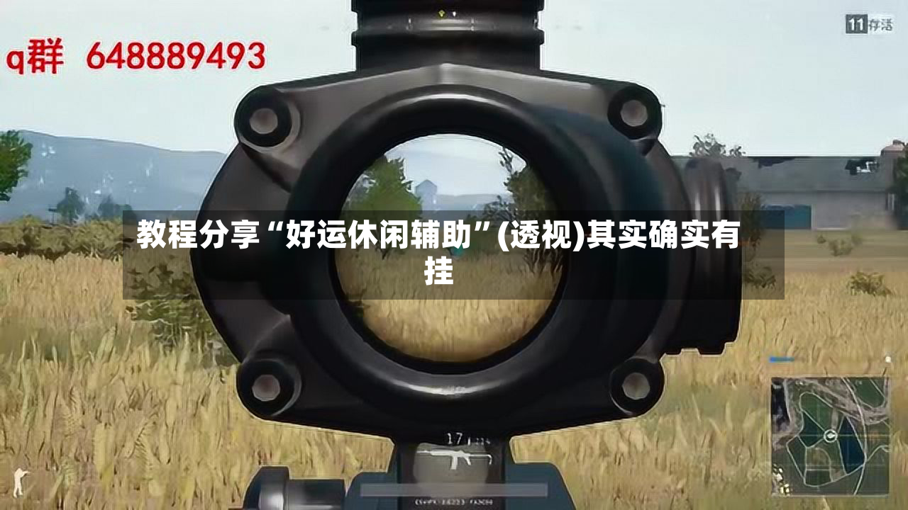 教程分享“好运休闲辅助”(透视)其实确实有挂-第2张图片