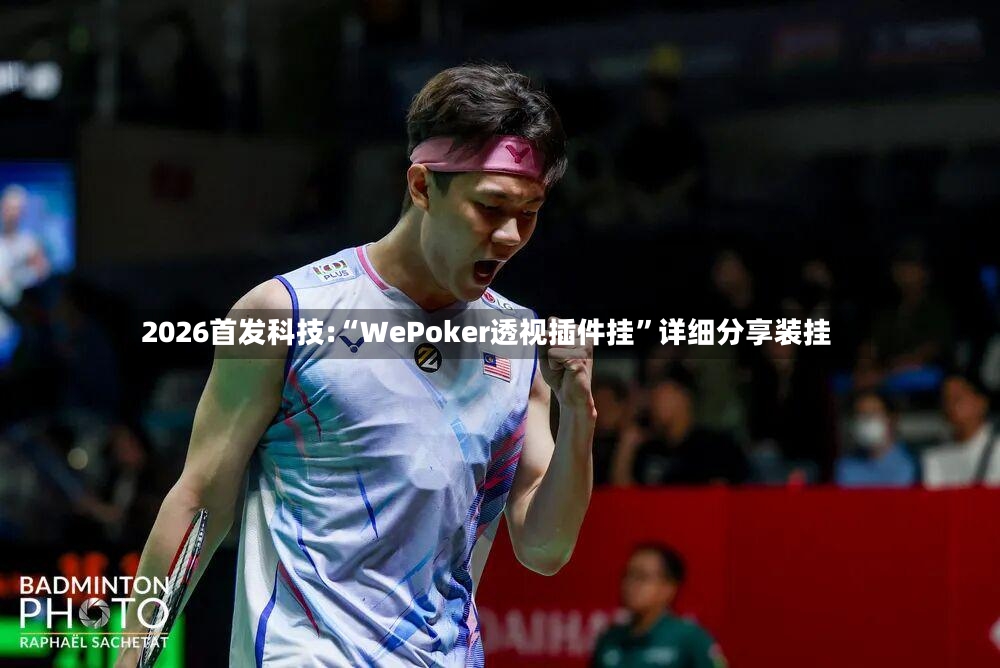 2026首发科技:“WePoker透视插件挂	”详细分享装挂-第2张图片