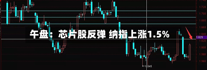午盘：芯片股反弹 纳指上涨1.5%
