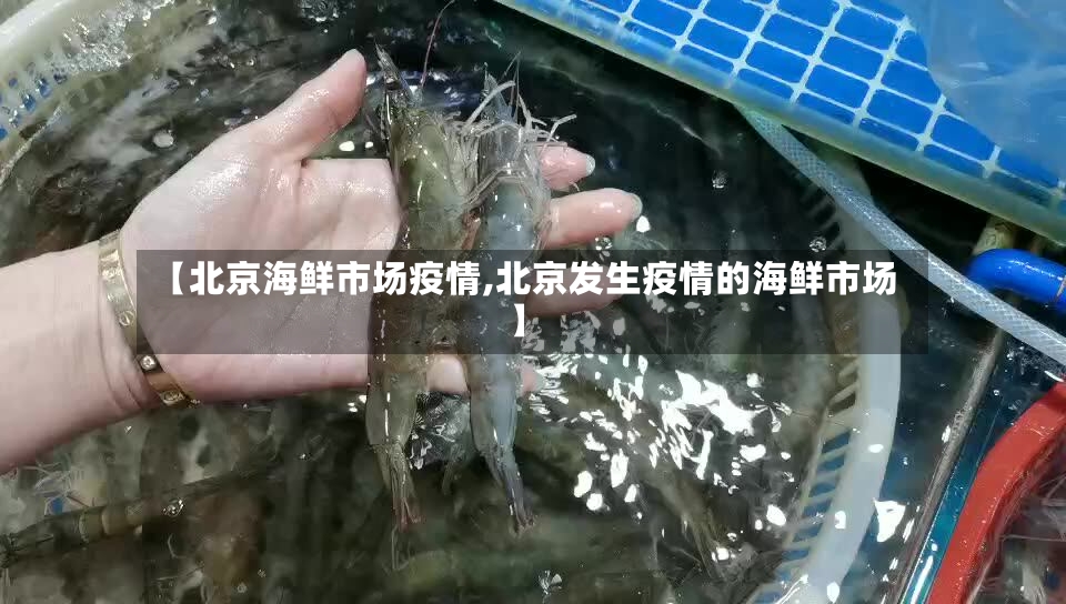 【北京海鲜市场疫情,北京发生疫情的海鲜市场】