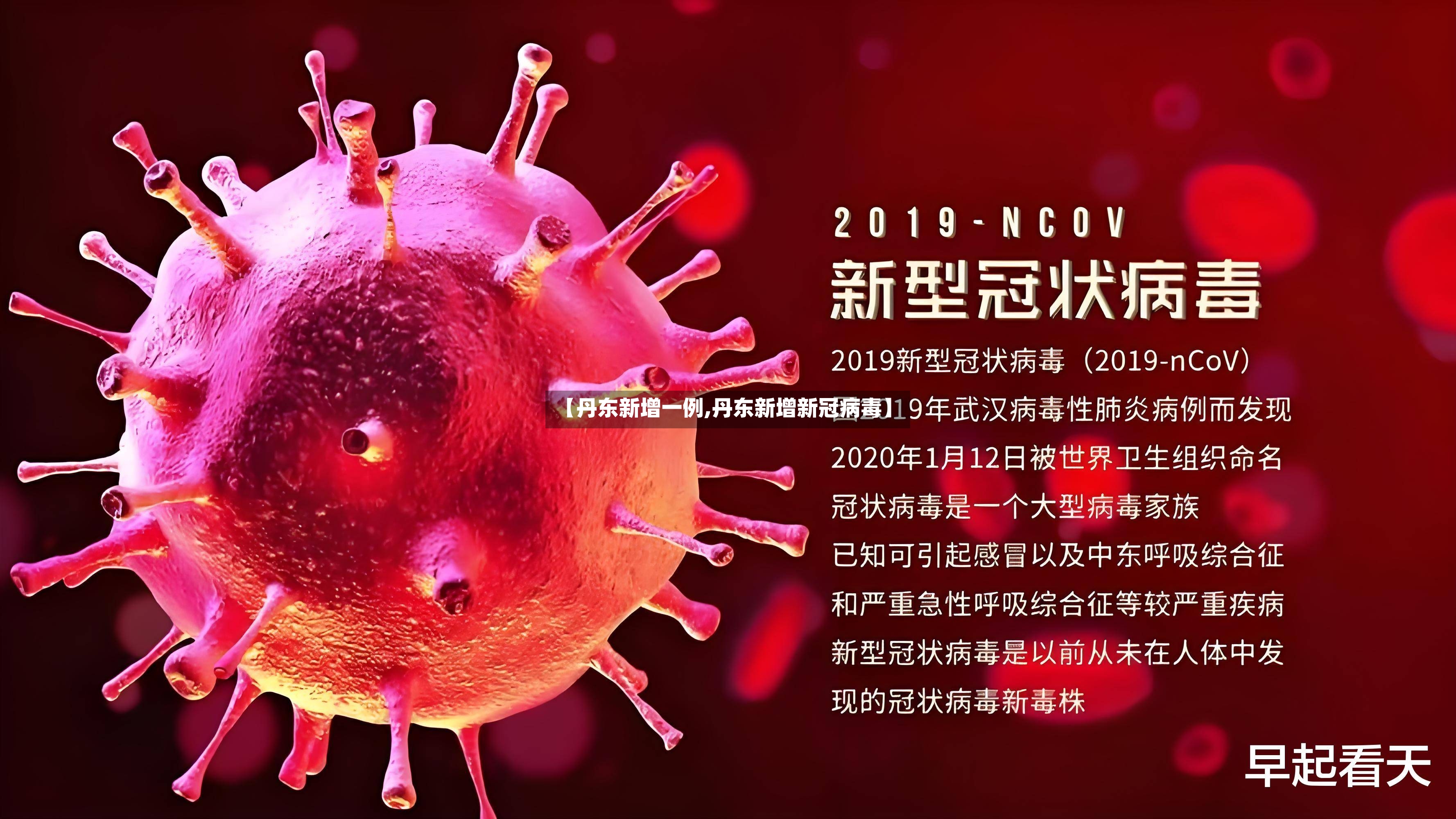 【丹东新增一例,丹东新增新冠病毒】-第2张图片
