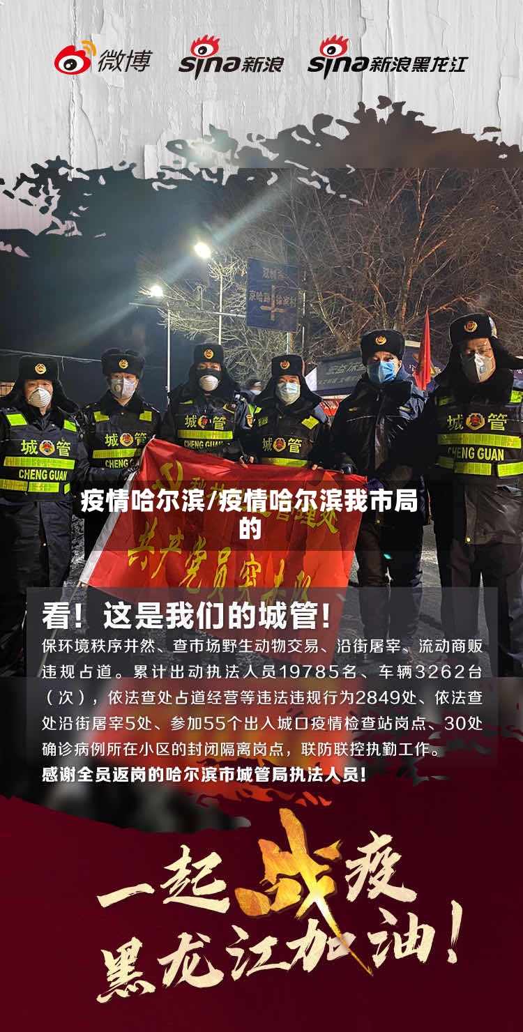 疫情哈尔滨/疫情哈尔滨我市局的-第3张图片