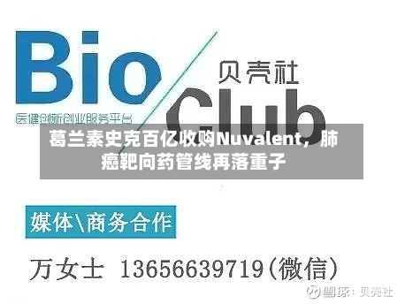 葛兰素史克百亿收购Nuvalent，肺癌靶向药管线再落重子-第3张图片