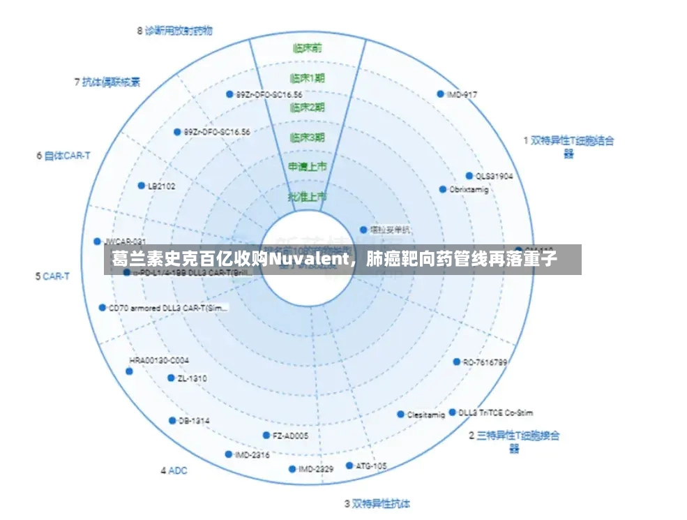 葛兰素史克百亿收购Nuvalent，肺癌靶向药管线再落重子-第2张图片