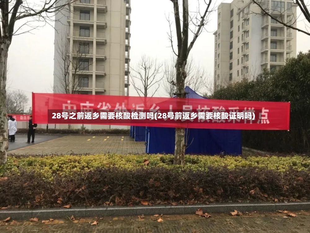 28号之前返乡需要核酸检测吗(28号前返乡需要核酸证明吗)-第2张图片