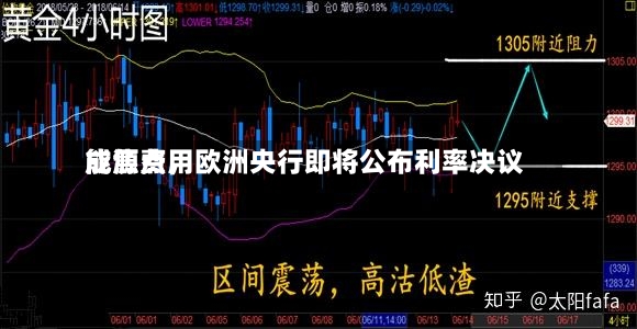 能源费用成焦点，欧洲央行即将公布利率决议-第2张图片