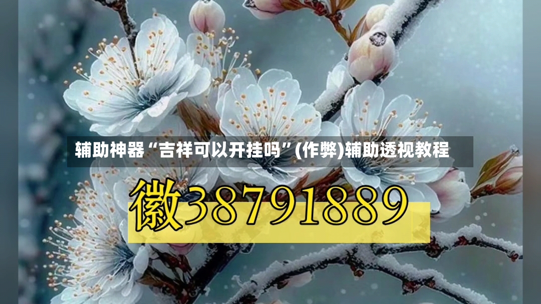 辅助神器“吉祥可以开挂吗	”(作弊)辅助透视教程-第2张图片