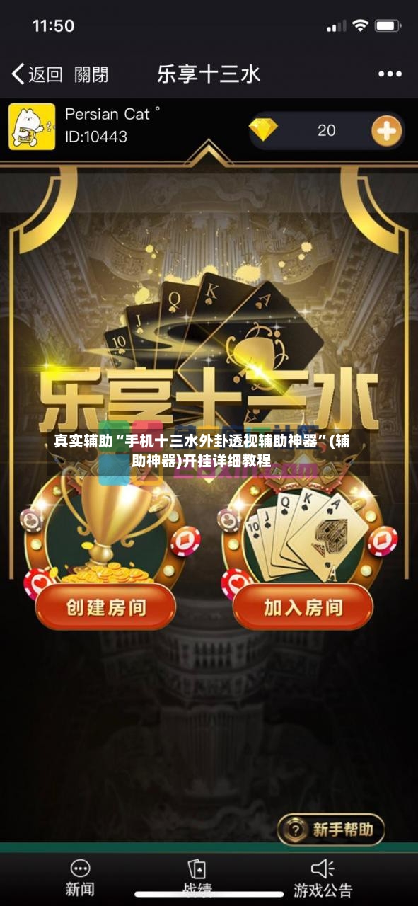 真实辅助“手机十三水外卦透视辅助神器”(辅助神器)开挂详细教程-第3张图片