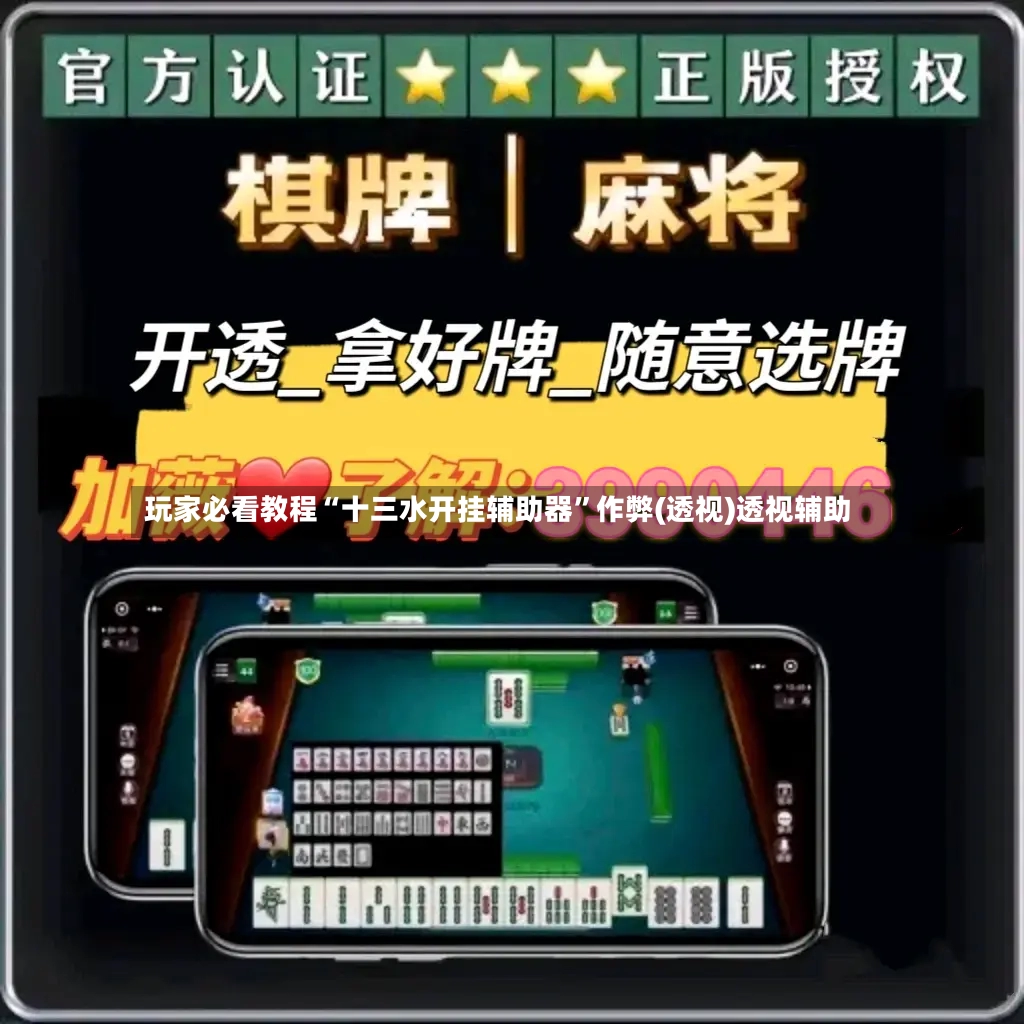 玩家必看教程“十三水开挂辅助器”作弊(透视)透视辅助-第2张图片