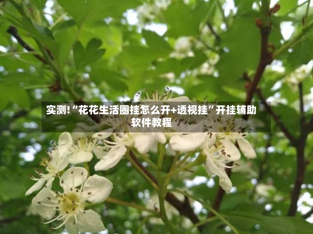 实测!“花花生活圈挂怎么开+透视挂”开挂辅助软件教程-第2张图片