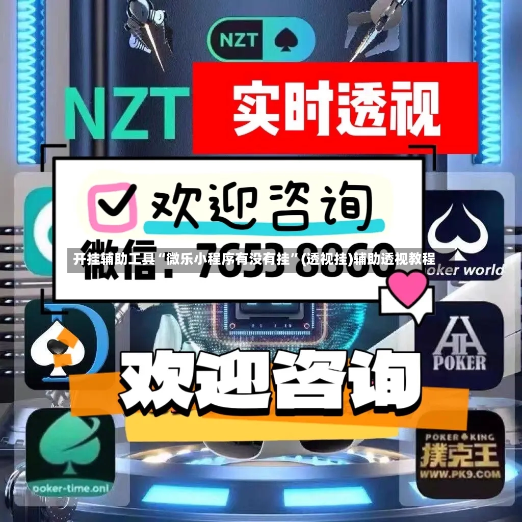 开挂辅助工具“微乐小程序有没有挂	”(透视挂)辅助透视教程-第2张图片