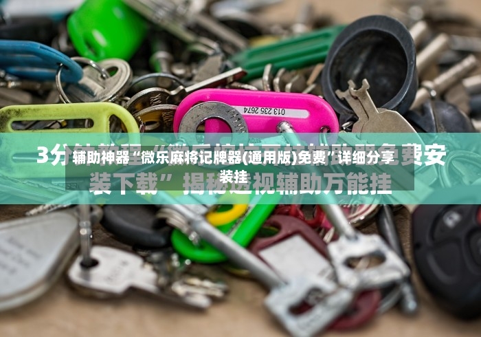 辅助神器“微乐麻将记牌器(通用版)免费”详细分享装挂