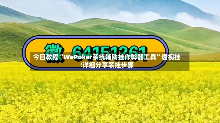今日教程“WePoker系统辅助挂作弊器工具”透视挂!详细分享装挂步骤-第3张图片