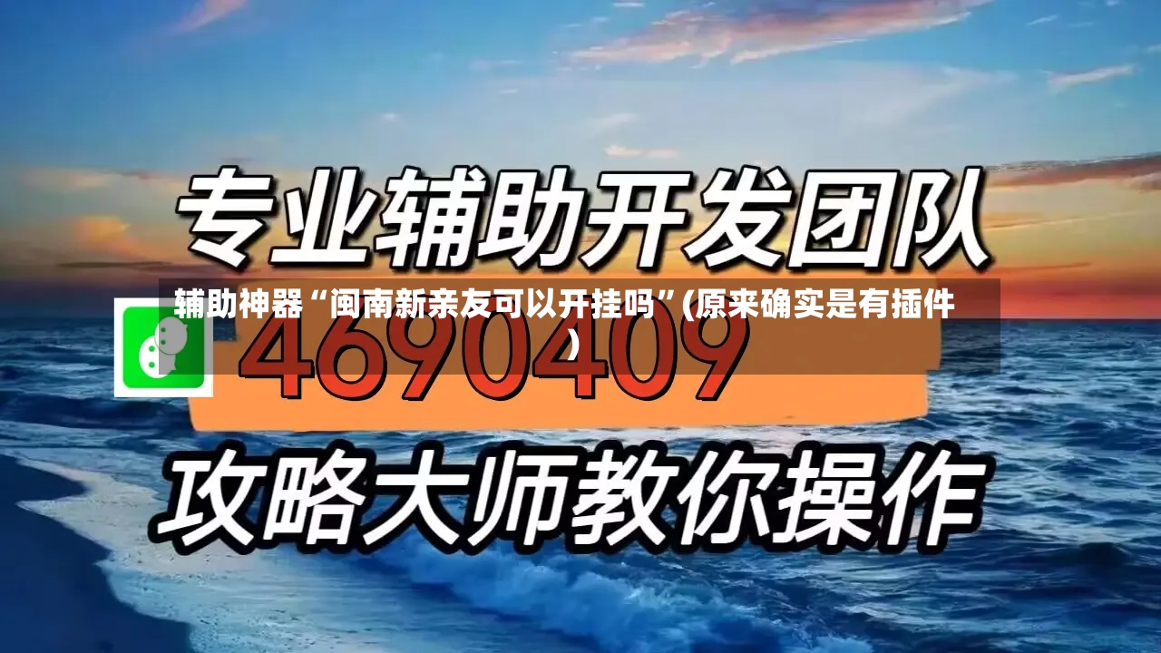 辅助神器“闽南新亲友可以开挂吗”(原来确实是有插件)-第3张图片