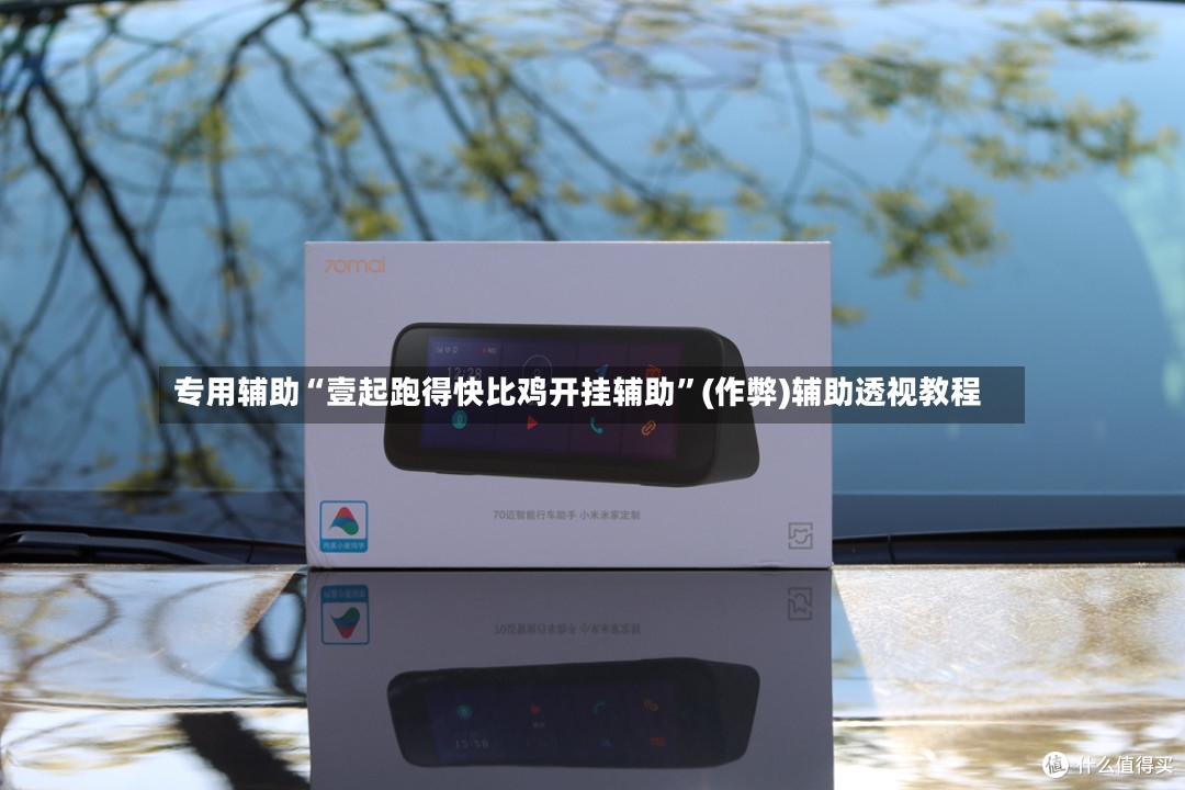 专用辅助“壹起跑得快比鸡开挂辅助”(作弊)辅助透视教程