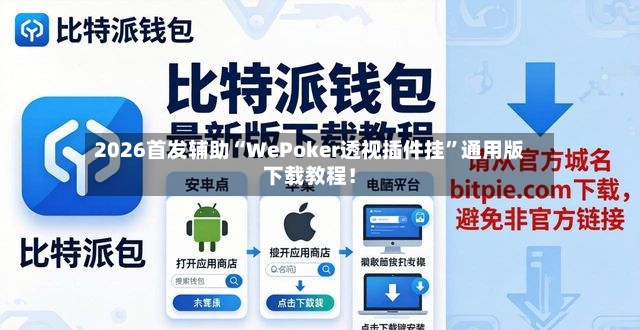 2026首发辅助“WePoker透视插件挂	”通用版下载教程！-第2张图片