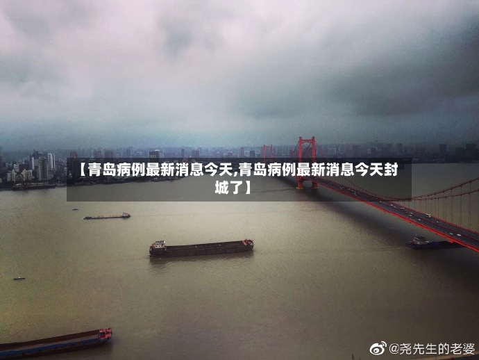【青岛病例最新消息今天,青岛病例最新消息今天封城了】-第2张图片