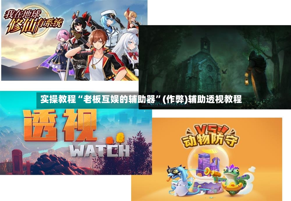 实操教程“老板互娱的辅助器”(作弊)辅助透视教程-第3张图片