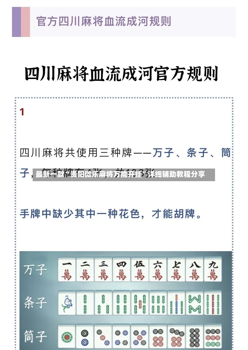 最新一款“贵阳微乐麻将万能开挂”详细辅助教程分享-第2张图片