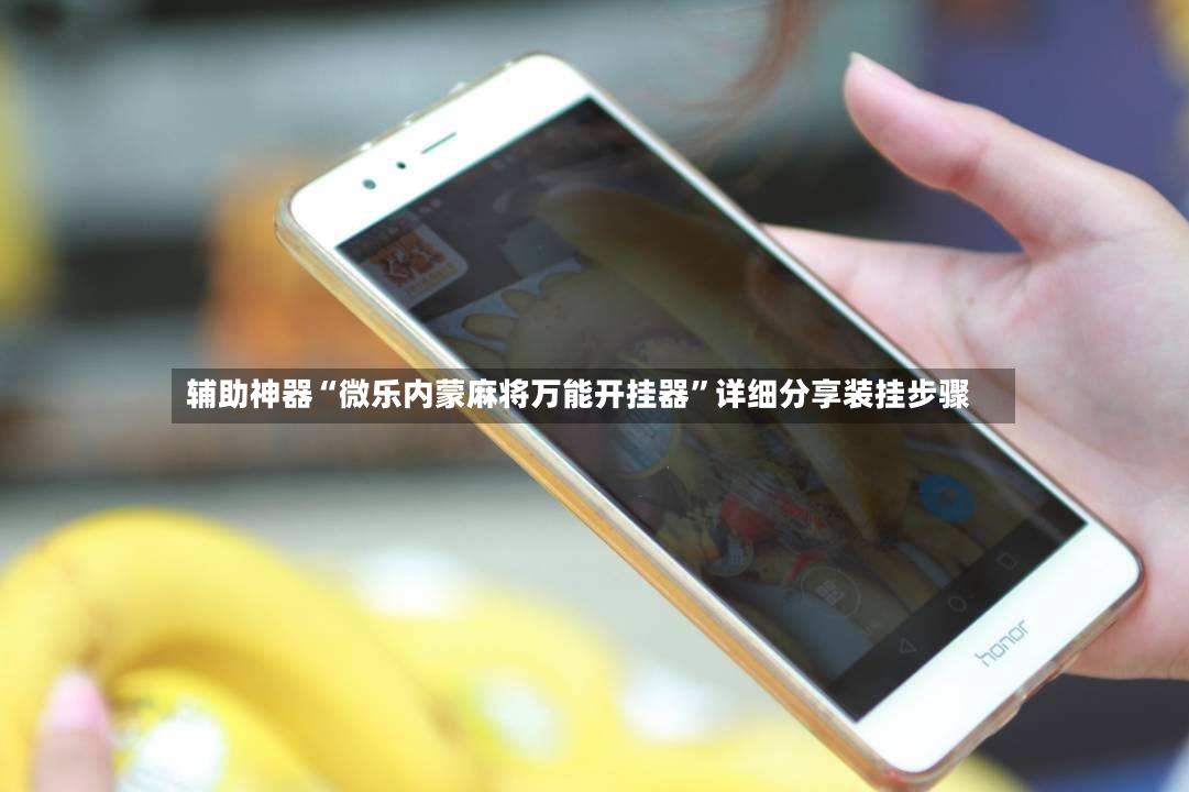 辅助神器“微乐内蒙麻将万能开挂器	”详细分享装挂步骤-第2张图片