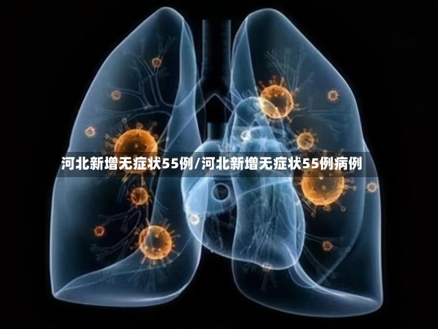 河北新增无症状55例/河北新增无症状55例病例