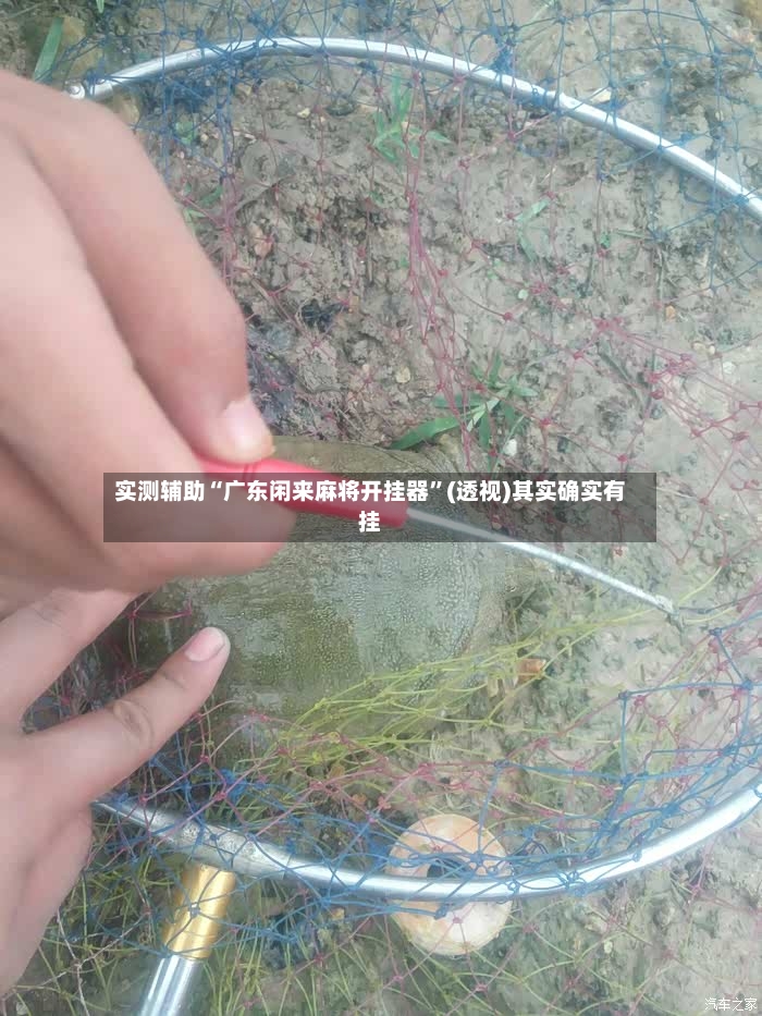 实测辅助“广东闲来麻将开挂器”(透视)其实确实有挂-第2张图片