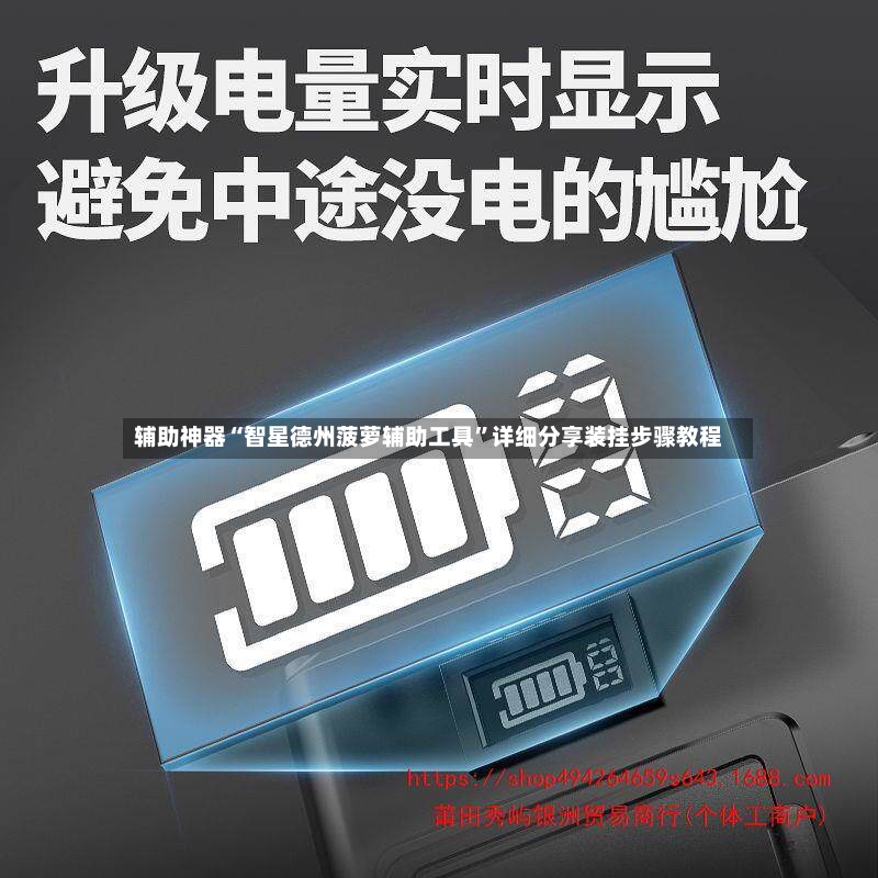辅助神器“智星德州菠萝辅助工具”详细分享装挂步骤教程-第2张图片