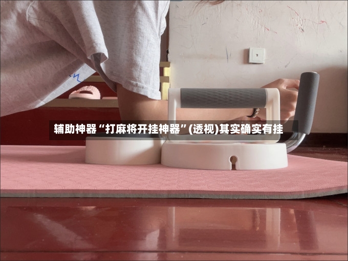辅助神器“打麻将开挂神器”(透视)其实确实有挂-第2张图片