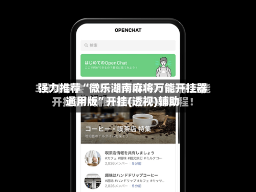 强力推荐“微乐湖南麻将万能开挂器通用版”开挂(透视)辅助-第2张图片