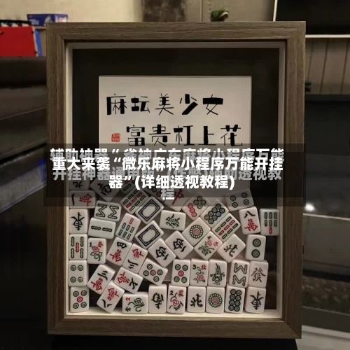 重大来袭“微乐麻将小程序万能开挂器”(详细透视教程)