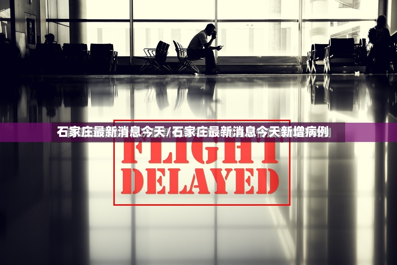 石家庄最新消息今天/石家庄最新消息今天新增病例