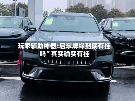 玩家辅助神器:启东牌缘到底有挂吗”其实确实有挂-第2张图片